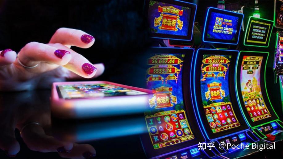 how to bet according to true count