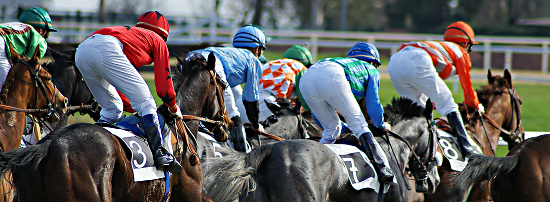 bet sublimados